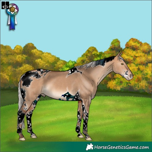 Horse Color:Silver Bay Dun Sabino Tobiano