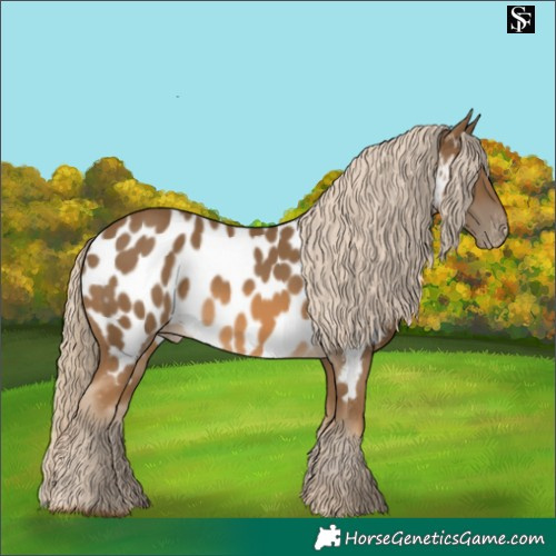 Horse Color:Chocolate Palomino Near Leopard