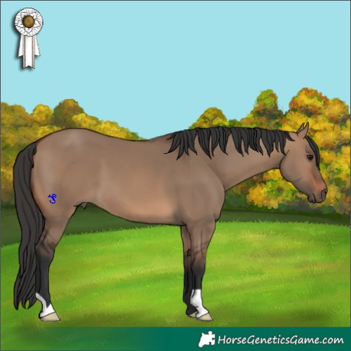 Horse Color:Brown Dun 