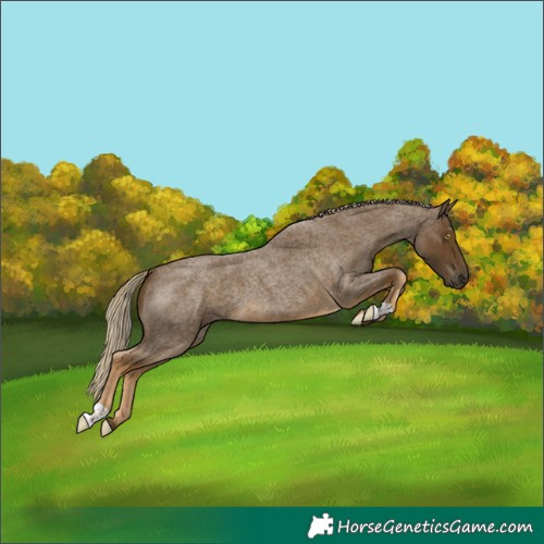 Horse Color:Chocolate Palomino Roan Mushroom 