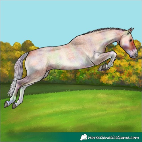 Horse Color:Nacre Silver Bay Roan Onyx