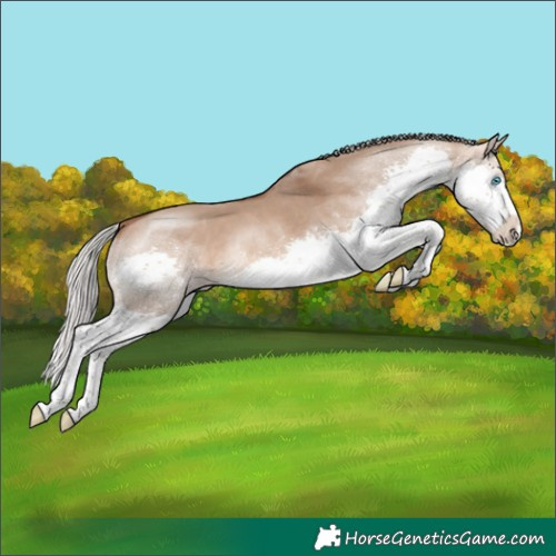 Horse Color:Silver Brown Dun Splash Tobiano 