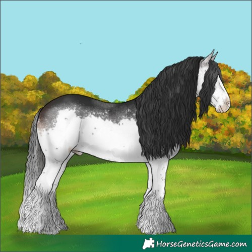 Horse Color:Brown Splash Tobiano