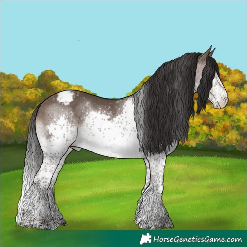 Horse Color:Brown Dun Splash Tobiano Appaloosa