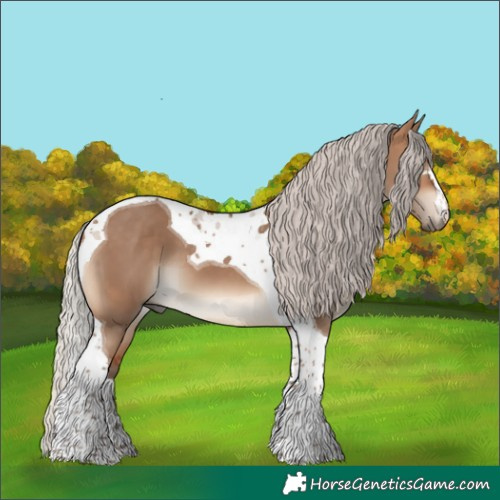 Horse Color:Silver Bay Dun Tobiano 