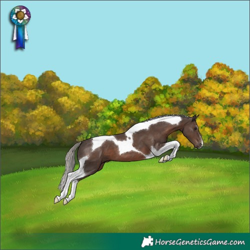 Horse Color:Silver Black Tobiano