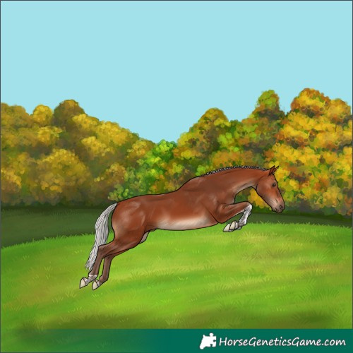 Horse Color:Silver Bay Tobiano