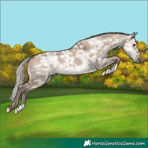 Horse Color:Silver Brown Ice Dun Rabicano 