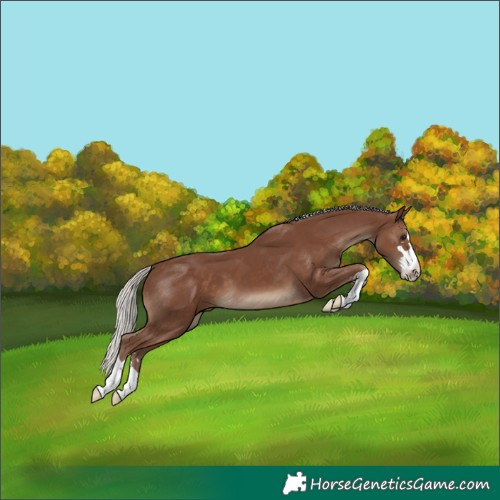Horse Color:Silver Black 