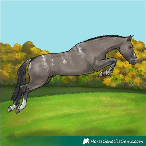 Horse Color:Powder White Grullo Varnish