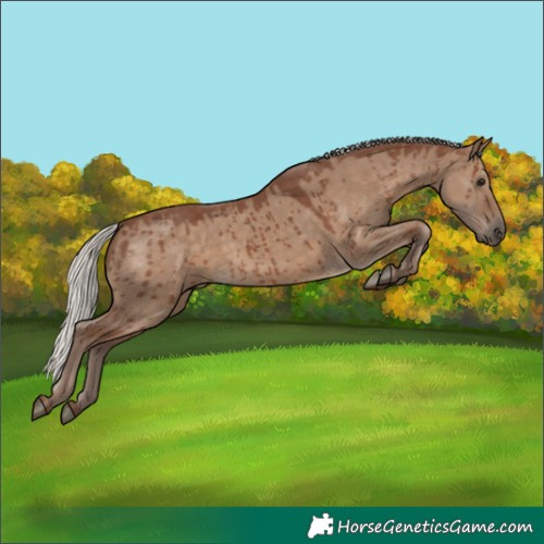Horse Color:Silver Grullo Brindle 