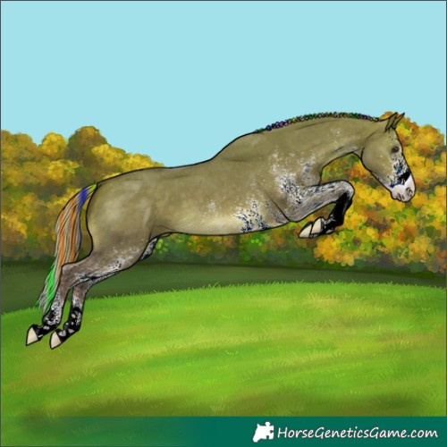 Horse Color:Painted White Spotted Silver Brown Dun