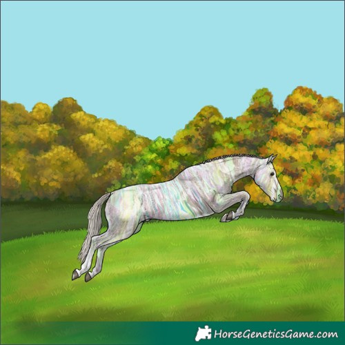Horse Color:Silver Grullo Ice Tobiano 