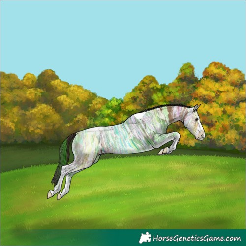 Horse Color:Bay Ice Splash Tobiano 