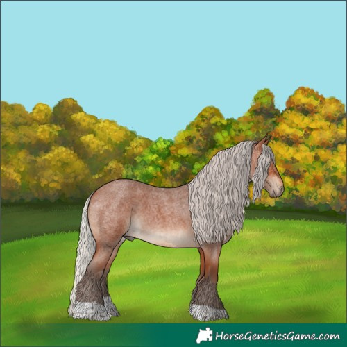 Horse Color:Silver Bay Roan Tobiano 