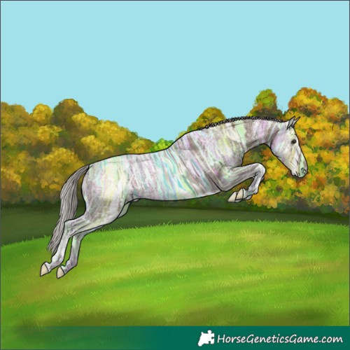 Horse Color:White Spotted Silver Brown Ice Dun Tobiano 
