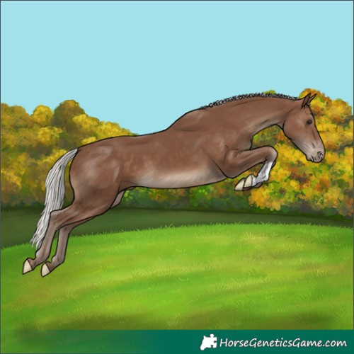 Horse Color:Silver Black Varnish