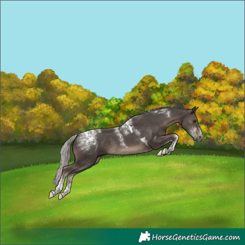 Horse Color:Powder White Silver Black Tobiano 