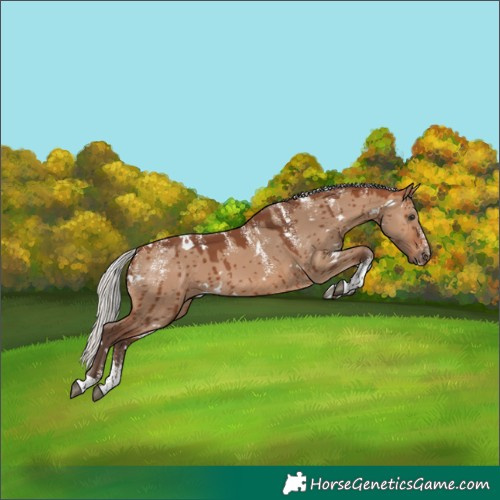 Horse Color:Powder White White Spotted Silver Brown Dun Brindle