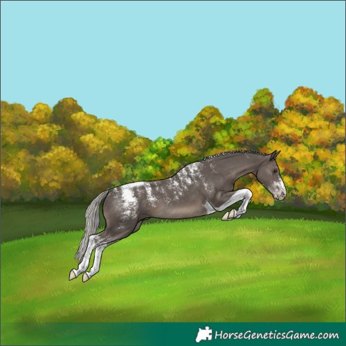 Horse Color:Powder White Silver Black Tobiano 
