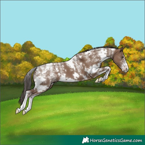 Horse Color:Powder White White Spotted Liver Red Dun