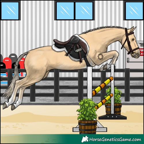Horse Color:Palomino Tobiano