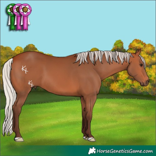 Horse Color:Silver Bay