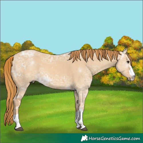 Horse Color:Red Dun Ice