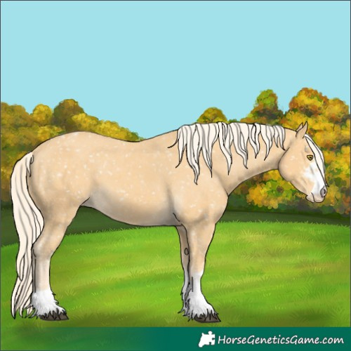 Horse Color:Palomino Snowflake Varnish and Palomino Snowflake Varnish