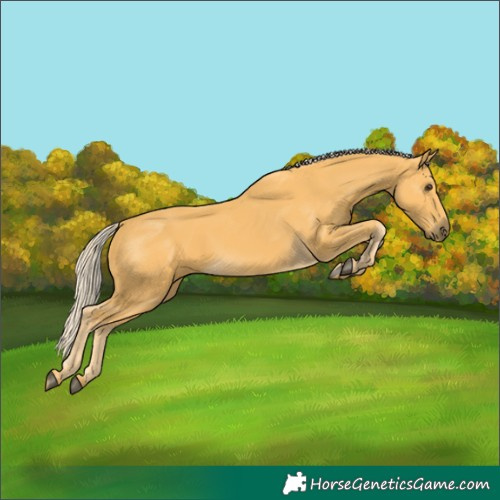 Horse Color:Palomino 