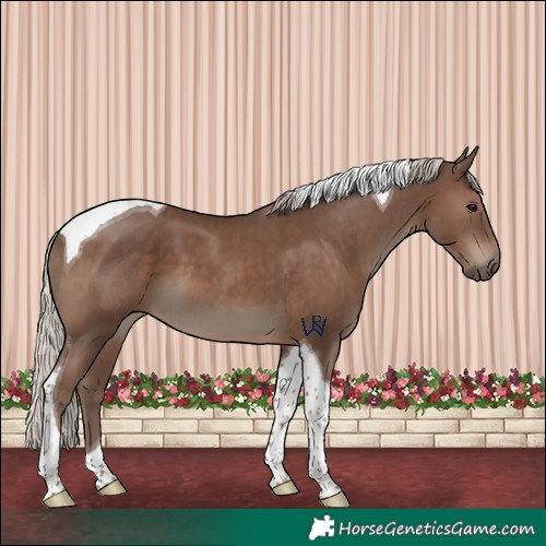 Horse Color:Silver Black Tobiano
