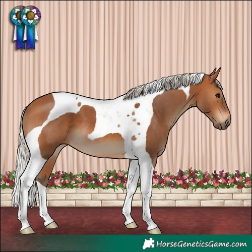 Horse Color:Silver Bay Tobiano