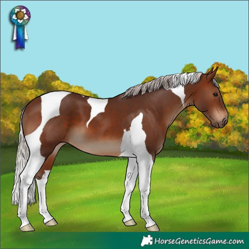 Horse Color:Silver Brown Tobiano