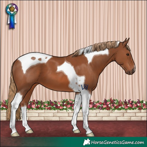 Horse Color:Chestnut Tobiano 