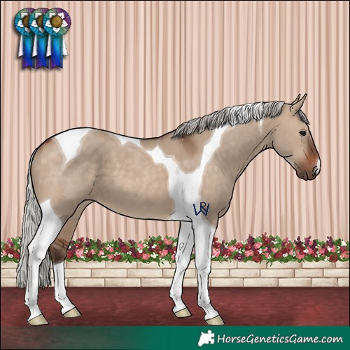 Horse Color:Silver Brown Dun Tobiano