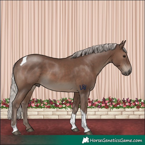 Horse Color:Silver Black Tobiano