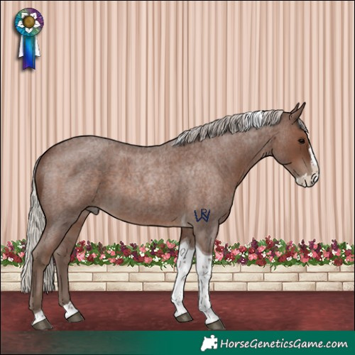 Horse Color:Silver Blue Roan Splash Tobiano 
