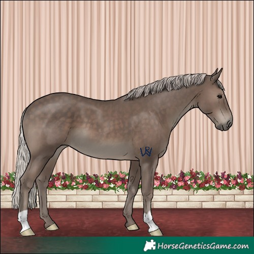 Horse Color:Silver Black
