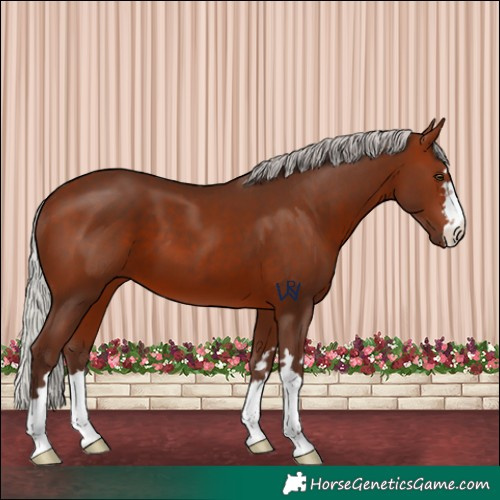 Horse Color:Silver Brown 