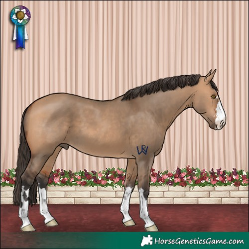 Horse Color:Bay Dun