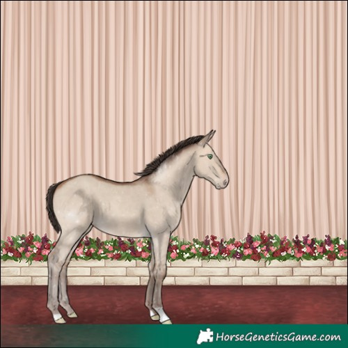 Horse Color:Sable Champagne Dun