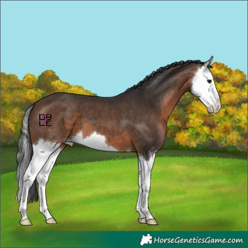 Horse Color:Brown Splash 