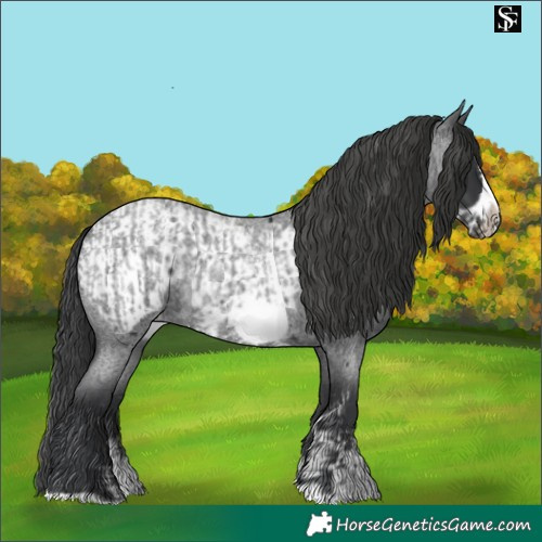 Horse Color:Blue Roan Sabino Splash Frame  and Blue Roan Sabino Splash Frame Blanket 