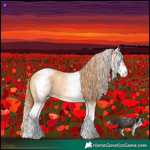 Horse Color:White Spotted Red Dun Rabicano and White Spotted Red Dun Splash Rabicano
