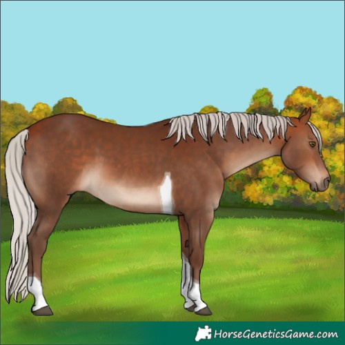 Horse Color:Silver Bay Tobiano