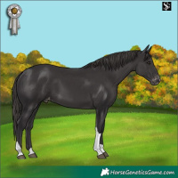 Horse Color:Platinum Smoky Black Tobiano Skewed LP Spotted 