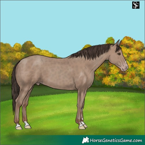 Horse Color:Classic Champagne 
