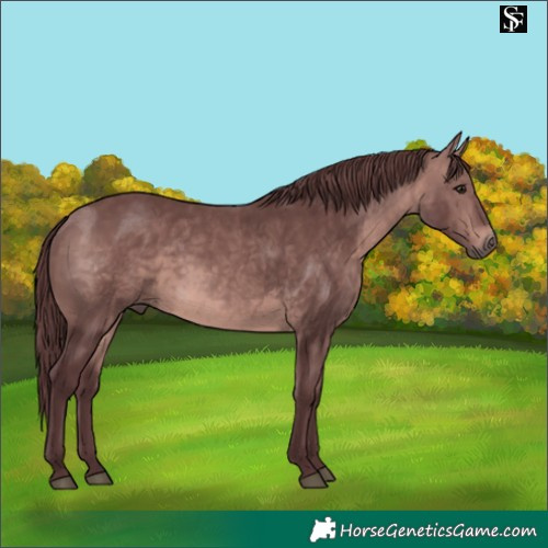 Horse Color:Platinum Chocolate Brown