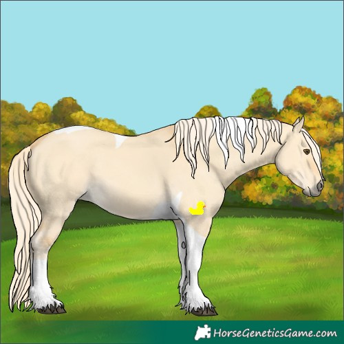 Horse Color:Palomino Dun Tobiano