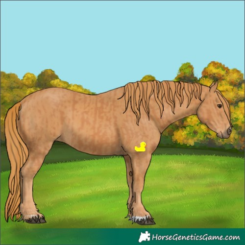 Horse Color:Chestnut  and Chestnut 